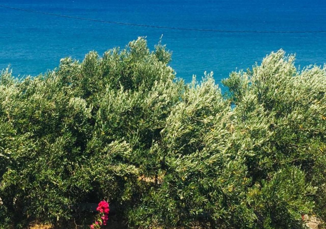 Apartmán Aris House - Cretan Hospitality Ágios Nikólaos Exteriér fotografie